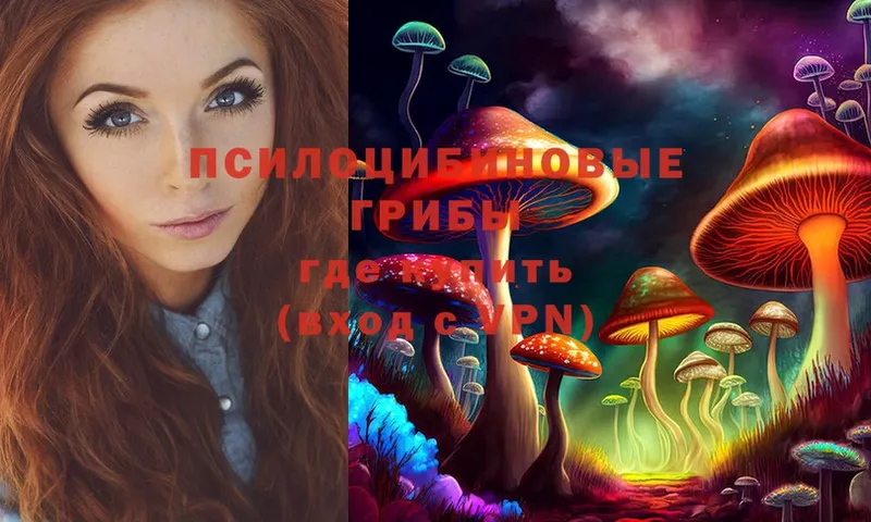 Галлюциногенные грибы Magic Shrooms  цена   MEGA ссылка  Венёв 